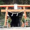 [寺社] 2006年の初詣で行った神社（宮崎県）