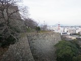 20110106_丸亀城